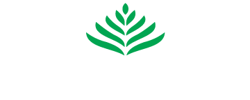 13-ORGANIC-INDIA.png